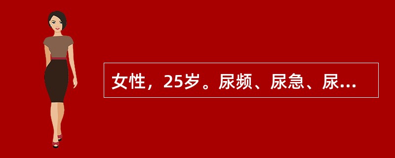 女性，25岁。尿频、尿急、尿痛，血尿伴发热1天。无呕吐、腰痛。尿常规：蛋白（+）