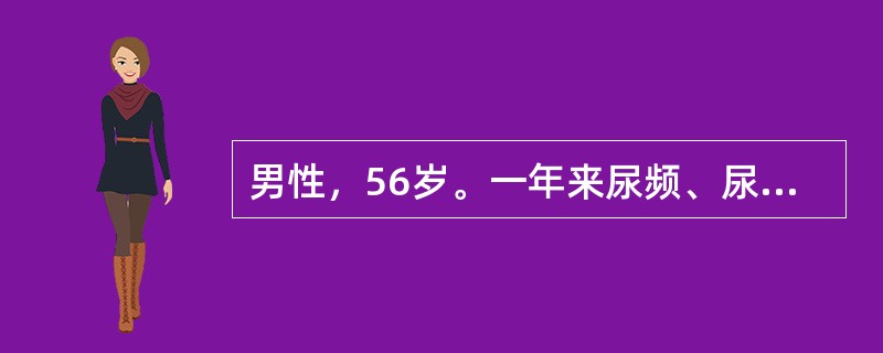 男性，56岁。一年来尿频、尿急、尿痛，有时尿混浊，伴终末血尿，一般抗生素治疗无效