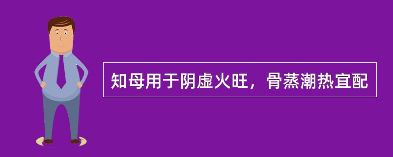 知母用于阴虚火旺，骨蒸潮热宜配