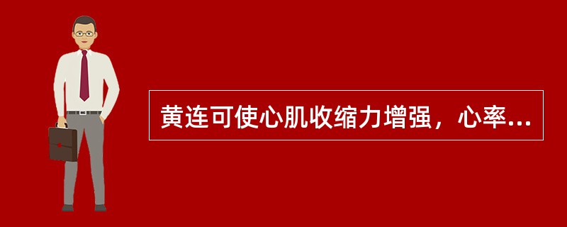 黄连可使心肌收缩力增强，心率加快（）