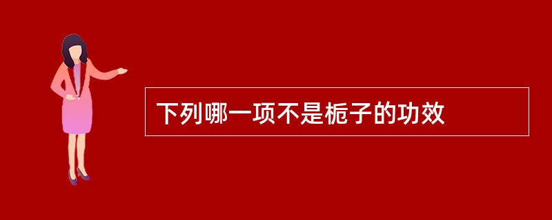 下列哪一项不是栀子的功效