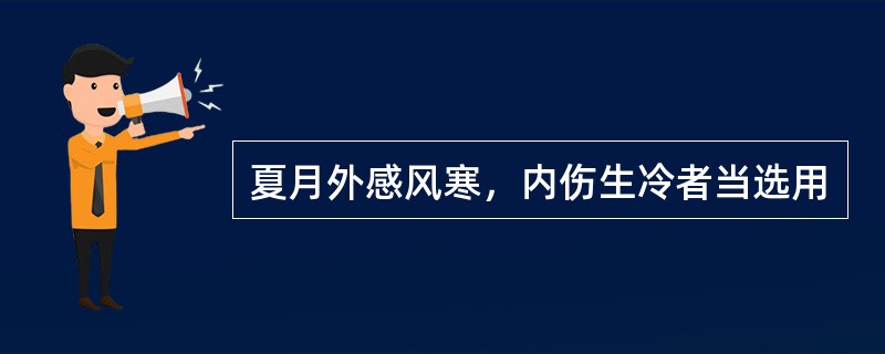 夏月外感风寒，内伤生冷者当选用