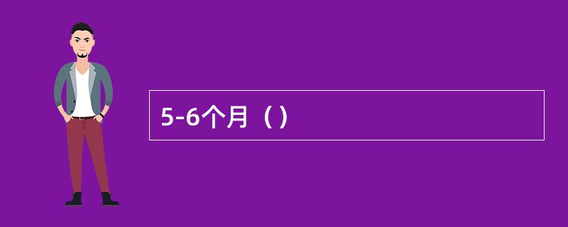 5-6个月（）