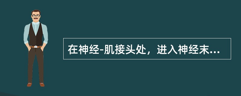 在神经-肌接头处，进入神经末梢的量与囊泡释放成正比的离子是（）。