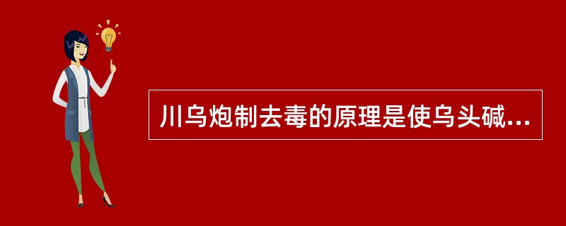 川乌炮制去毒的原理是使乌头碱溶于水()。