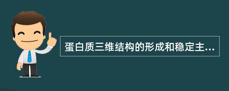 蛋白质三维结构的形成和稳定主要取决于（）。