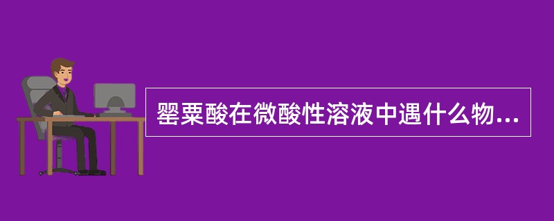 罂粟酸在微酸性溶液中遇什么物质，生成红色的罂粟酸铁（）。