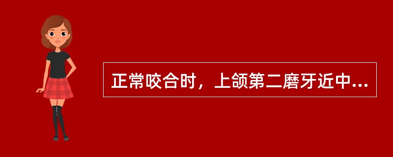 正常咬合时，上颌第二磨牙近中舌尖与下颌牙何处接触为多（）