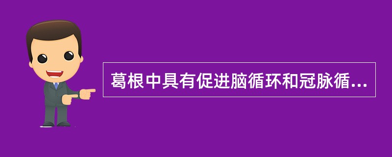 葛根中具有促进脑循环和冠脉循环的有效成分是