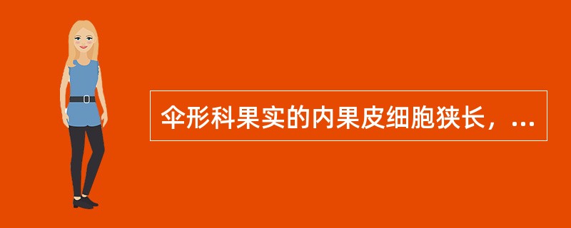 伞形科果实的内果皮细胞狭长，呈镶嵌状。