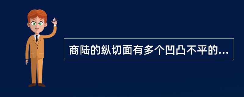 商陆的纵切面有多个凹凸不平的同心环纹,俗称“罗盘纹”。