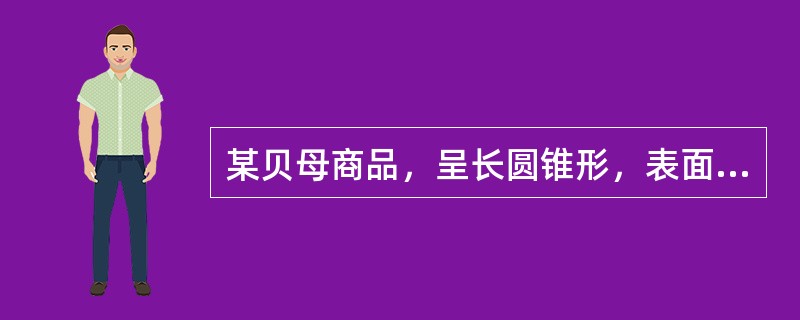 某贝母商品，呈长圆锥形，表面黄白色，稍粗糙，常有黄棕色斑块；外层两瓣鳞片大小相近