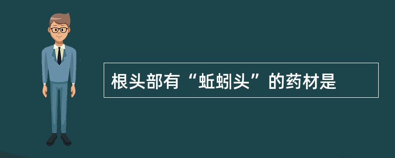 根头部有“蚯蚓头”的药材是