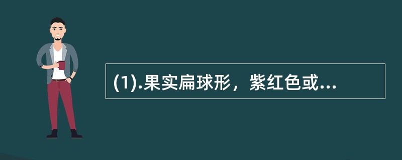 (1).果实扁球形，紫红色或暗红色，肉厚，柔润，富油性，内含种子1～2粒，果肉味