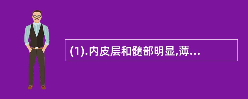 (1).内皮层和髓部明显,薄壁细胞含细小针晶的是()(2).根表皮膜质,木质部黄