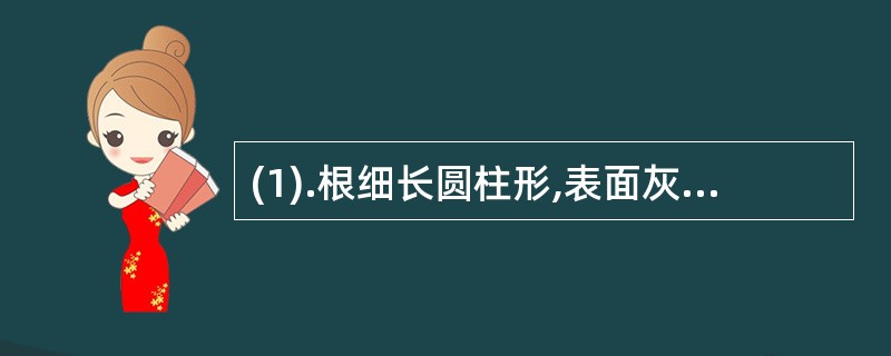 (1).根细长圆柱形,表面灰黄色或淡褐色，质硬脆,断面有多数黄白色小点排成数轮同