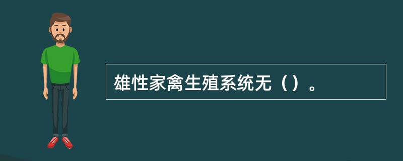 雄性家禽生殖系统无（）。