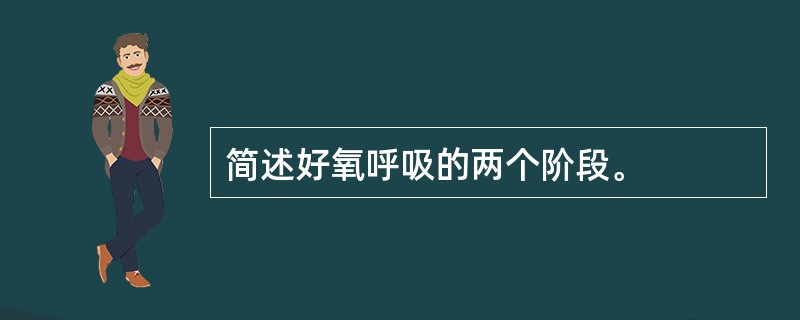 简述好氧呼吸的两个阶段。