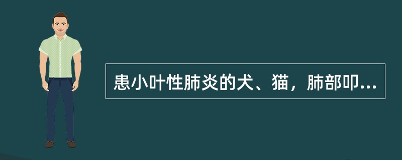 患小叶性肺炎的犬、猫，肺部叩诊将出现（）