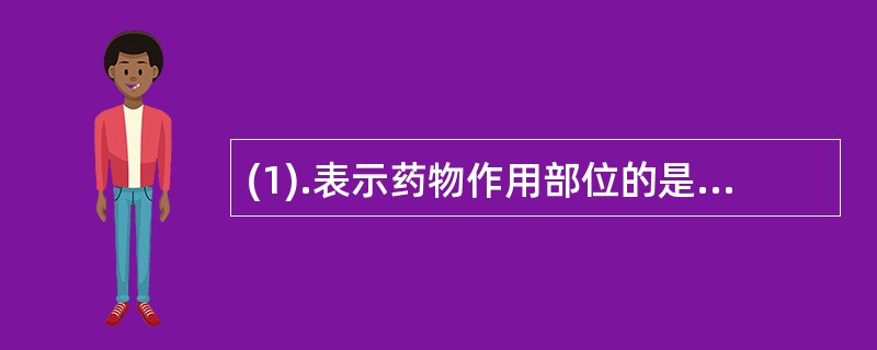 (1).表示药物作用部位的是（）(2).反应药物作用趋势的是（）(3).反应药物