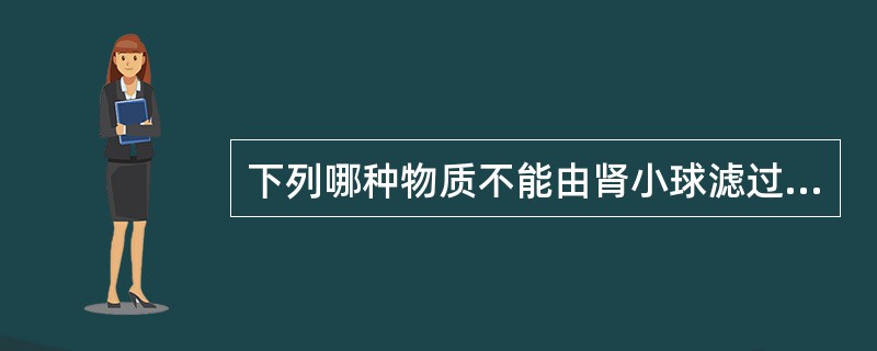 下列哪种物质不能由肾小球滤过（）