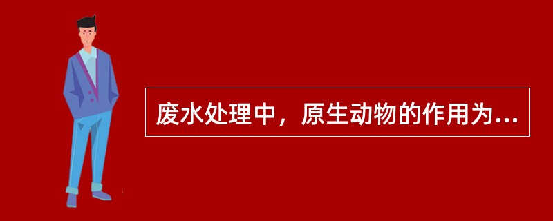 废水处理中，原生动物的作用为（）、（）、促进絮凝和沉淀作用。