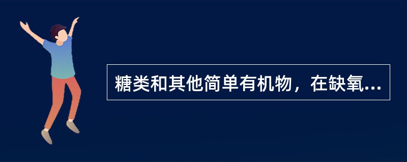 糖类和其他简单有机物，在缺氧环境中，由厌氧菌和兼性厌氧微生物通过发酵作用或（）进