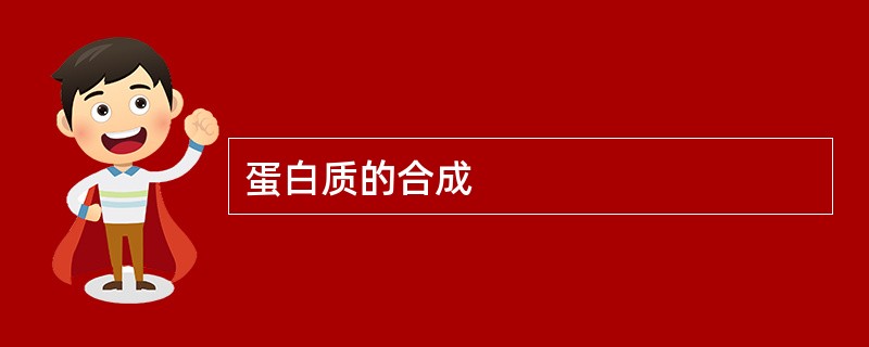 蛋白质的合成