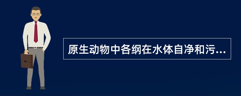 原生动物中各纲在水体自净和污水生物处理中如何起指示作用？