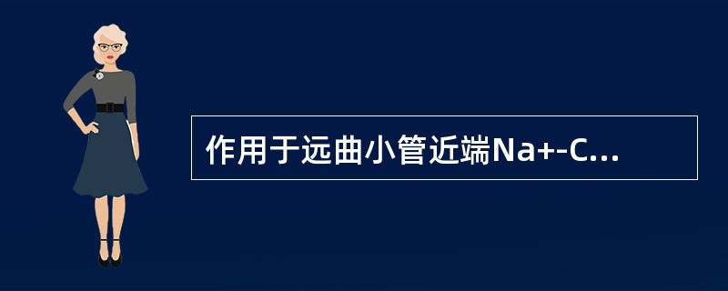 作用于远曲小管近端Na+-Cl-同向转运系统，抑制NaCl重吸收的是（）。