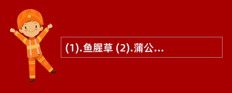 (1).鱼腥草 (2).蒲公英 (3).紫花地丁 (4).白头翁