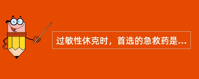 过敏性休克时，首选的急救药是（）。