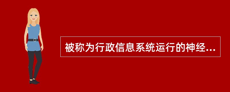 被称为行政信息系统运行的神经的是（）