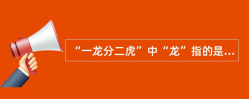 “一龙分二虎”中“龙”指的是（）。