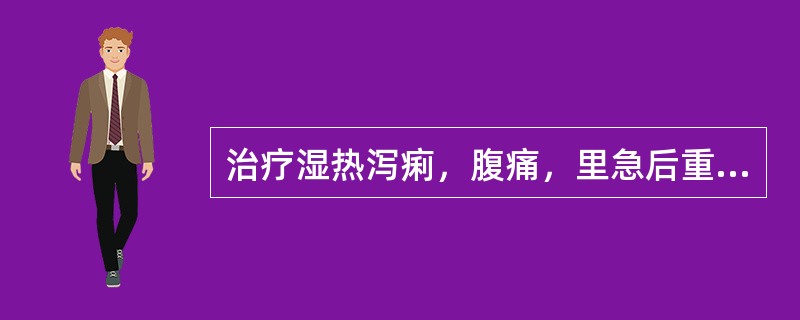 治疗湿热泻痢，腹痛，里急后重，当选用（）。