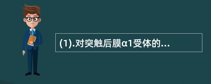 (1).对突触后膜α1受体的阻断作用远大于阻断突触前膜α2受体的药物是(2).对