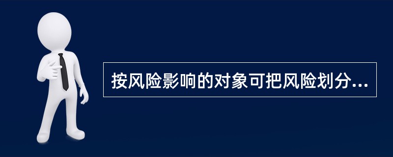 按风险影响的对象可把风险划分为（）。