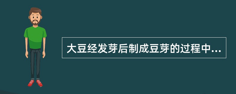 大豆经发芽后制成豆芽的过程中含量明显增加的营养素是( )