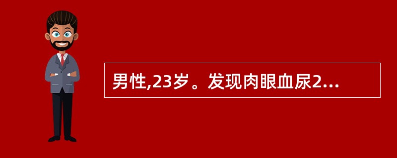 男性,23岁。发现肉眼血尿2天。每次排尿初始为血尿,以后尿液颜色逐渐转为正常。初