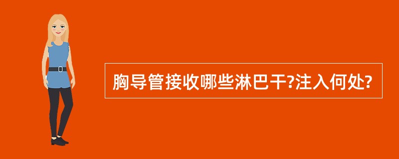 胸导管接收哪些淋巴干?注入何处?