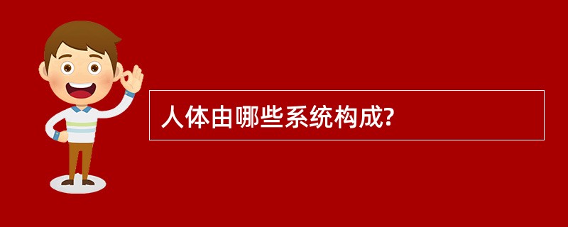 人体由哪些系统构成?