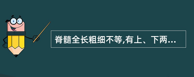 脊髓全长粗细不等,有上、下两处膨大,分别为____和____。