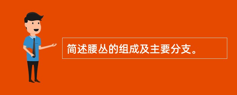 简述腰丛的组成及主要分支。