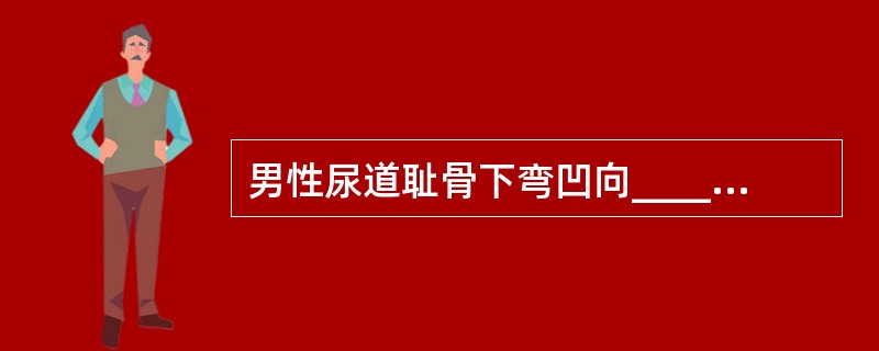 男性尿道耻骨下弯凹向____方;耻骨前弯凹向____方。