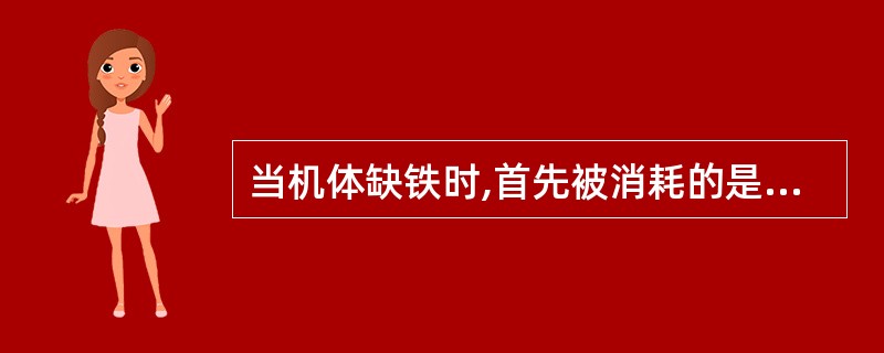 当机体缺铁时,首先被消耗的是A、血清铁B、酶铁C、储存铁D、血红蛋白量铁E、肌红