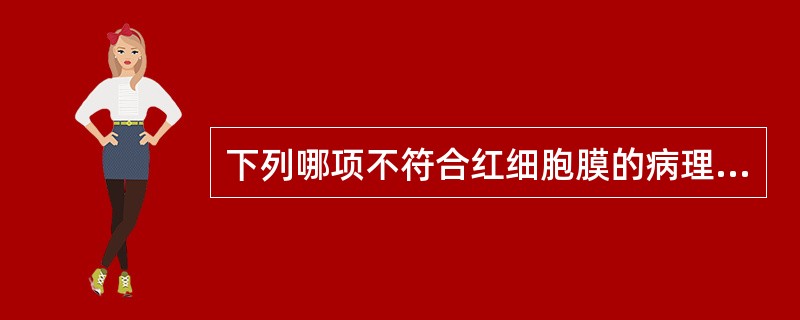 下列哪项不符合红细胞膜的病理生理特征A、红细胞膜蛋白遗传性缺陷影响膜稳定性B、氧