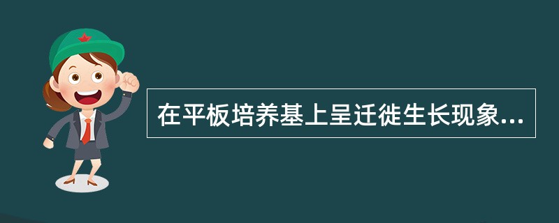 在平板培养基上呈迁徙生长现象的细菌是A、痢疾杆菌B、伤寒杆菌C、甲型副伤寒杆菌D