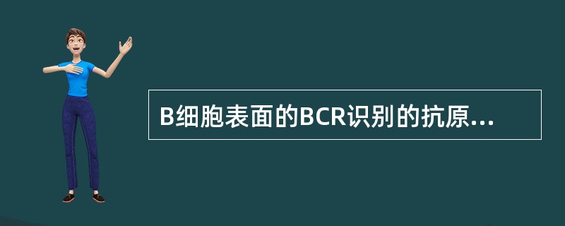 B细胞表面的BCR识别的抗原表位A、线性表位B、构象表位C、隐蔽的表位D、加工处