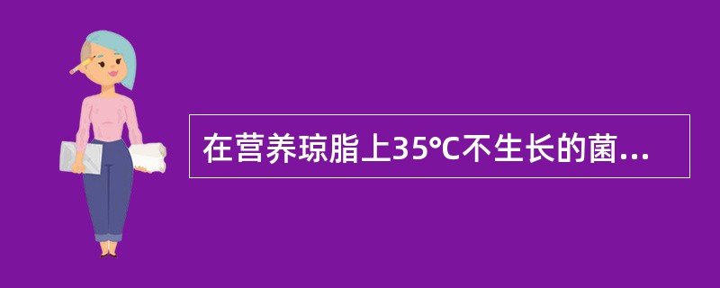 在营养琼脂上35℃不生长的菌是A、淋病奈瑟菌B、干燥奈瑟菌C、黏膜奈瑟菌D、浅黄