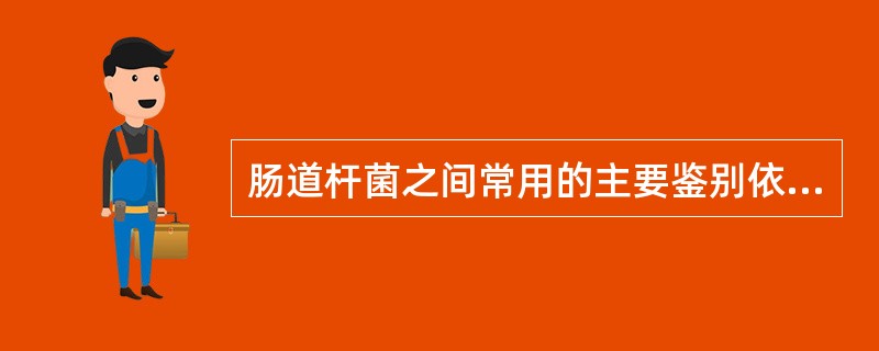 肠道杆菌之间常用的主要鉴别依据是A、生化反应B、毒力试验C、抗原构造D、形态染色